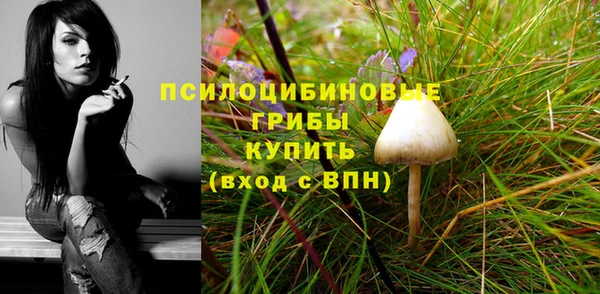 прущий лед Богородицк