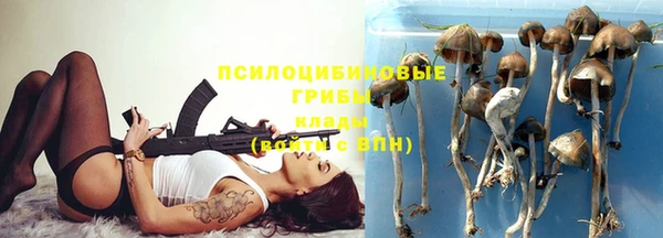 каннабис Верея