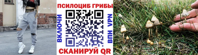 Галлюциногенные грибы мухоморы KRAKEN зеркало Старица как найти наркотики