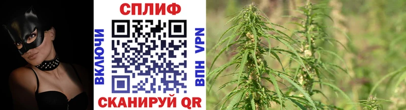 купить   Старица  Шишки марихуана Bruce Banner 